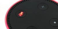 Useful Security and Privacy Tips for Google Home and Amazon Echo Users