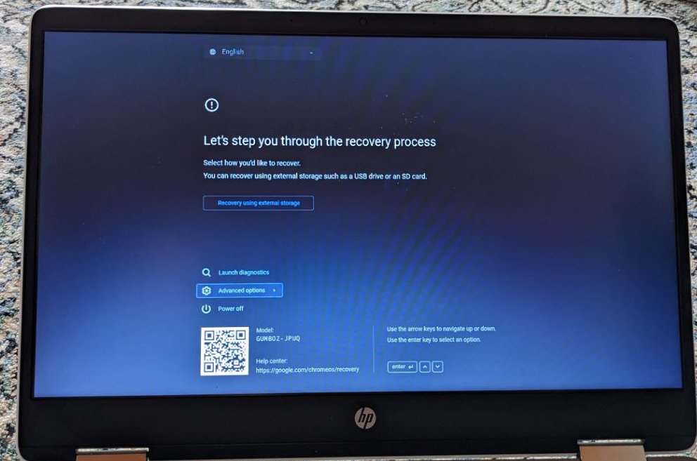 Chromebook Recover Screen