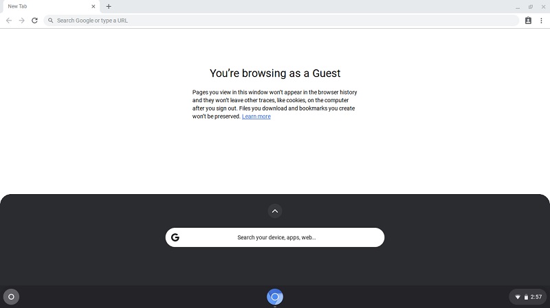 Chromiumos With Chromx Guest Browsing