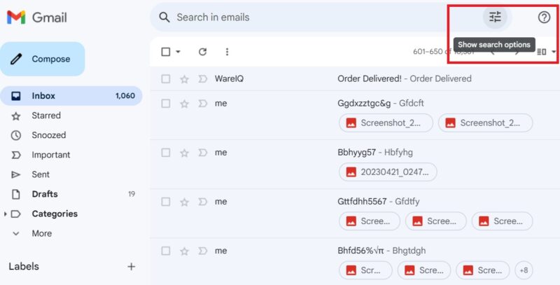 Show search options visible in Gmail search box. 