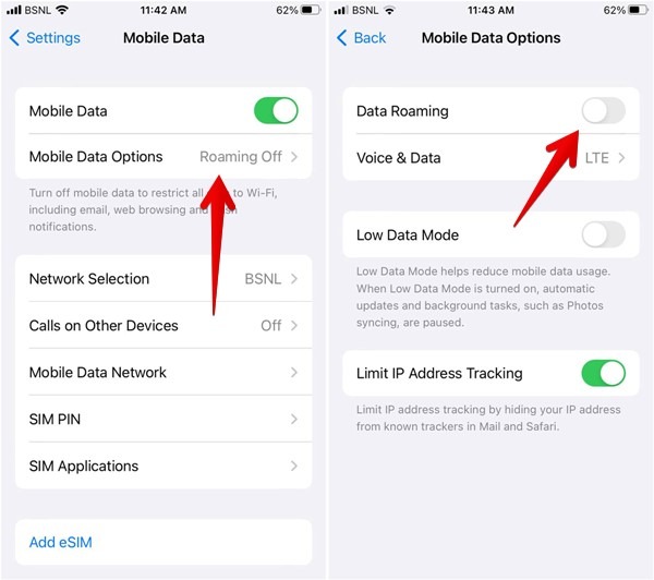 Iphone Cellular Data Roaming