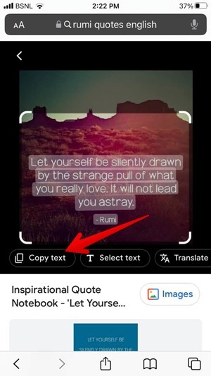 Iphone Google Search Copy Text Picture