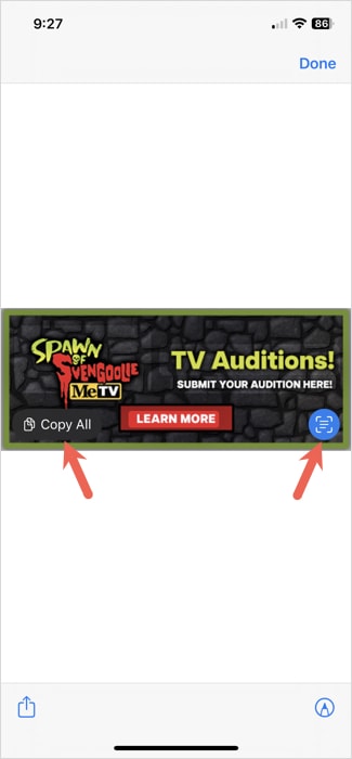 Live Text icon and Copy All for a Safari image on iPhone