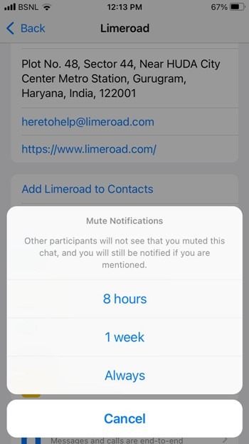 Iphone Whatsapp Mute Time