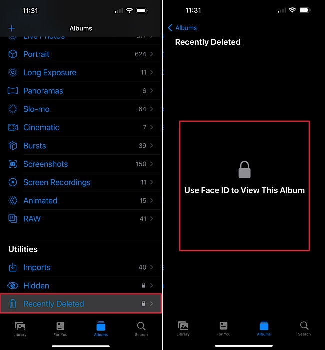 Photo Recovery Recently Deleted Face Id