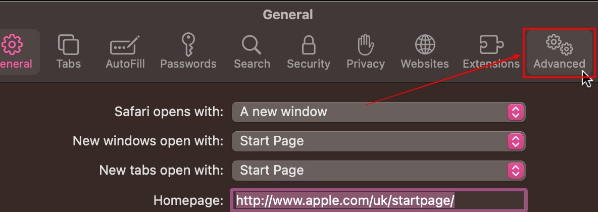 Safari Advanced Settings From The Settings Panel