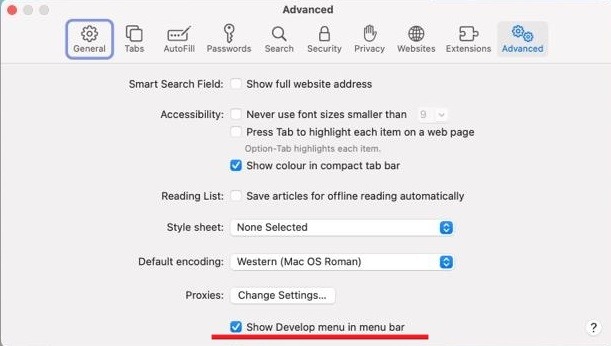 Enabling "Show Develop menu in menu bar" option in Safari Advanced settings.