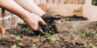 7 Smart Tools That Can Save You Time Gardening