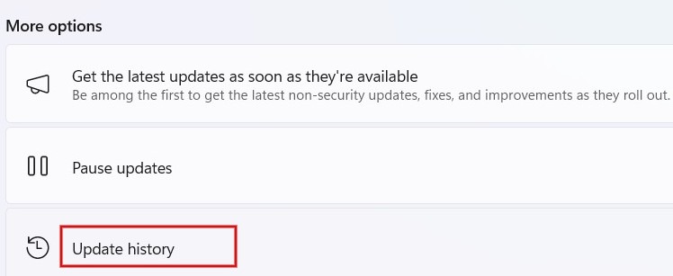 Clicking on "Update History" under "More options."