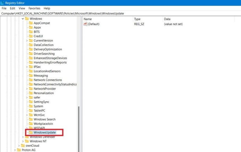 Creating a "WindowsUpdate" key in Registry Editor on its left panel.