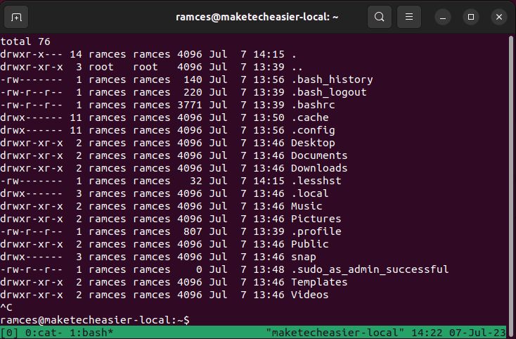 A terminal showing the closing of the reverse shell in the local machine.