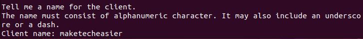 A terminal showing a prompt for the first VPN client in the network.