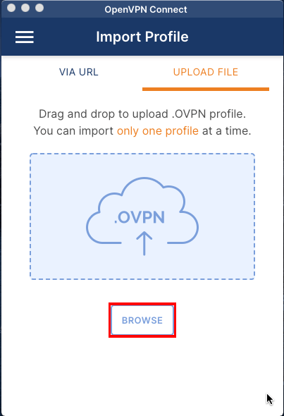 A screenshot highlighting the "Browse" button for the OpenVPN client.