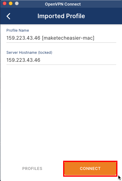 A screenshot showing the OpenVPN server's details.