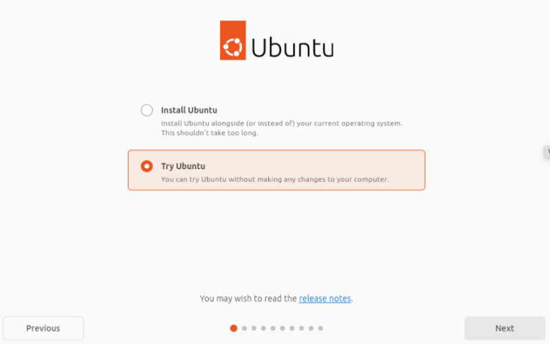 A screenshot highlighting the "Try Ubuntu" radio button in the Live USB.