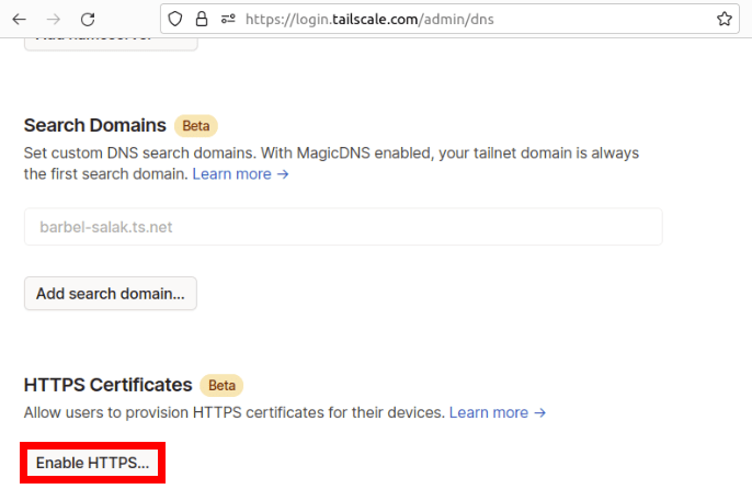A screenshot showing the HTTPS option for Tailscale hosts.