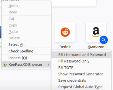 A screenshot showing the KeePassXC extension running on the browser.