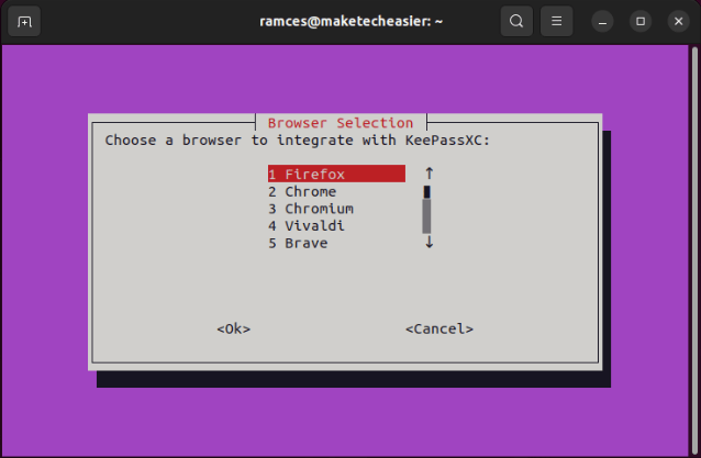 A terminal showing the list of supported browsers for KeePassXC.